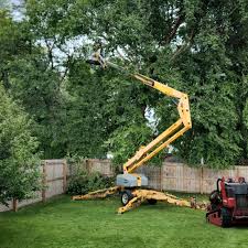 Best Leaf Removal  in Savannah, GA